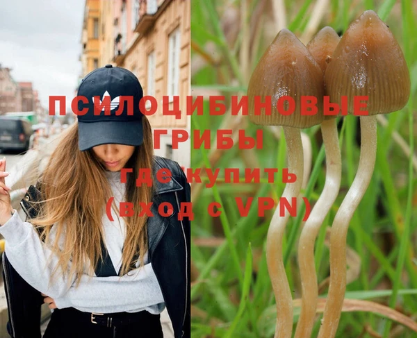 соль курить ск Киреевск
