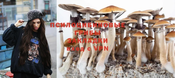 соль курить ск Киреевск