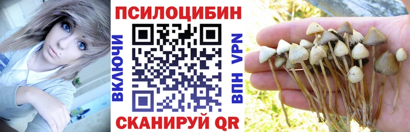 Галлюциногенные грибы прущие грибы  Купить  Зверево 
